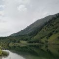Bitu