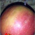 tatikd06