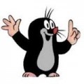 vavasa