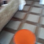 ���� ����� �� �����