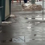 �������� �� ������
