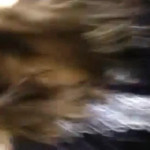 ������� ���������