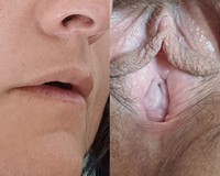 ���� ���� ����. ����� 2
