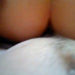 �� ������