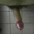 kkkk3161