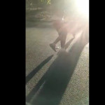 ����� ���������� ����