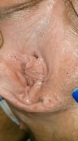 � ������ ���������