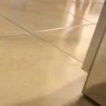 ��� ������ ������� ����.